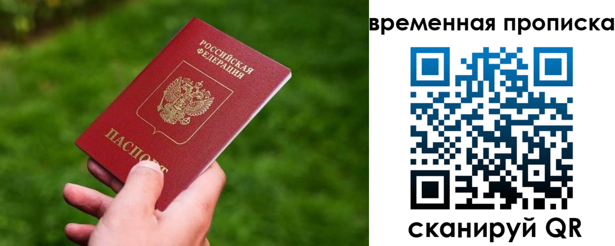 прописка ребенка в Жуковском